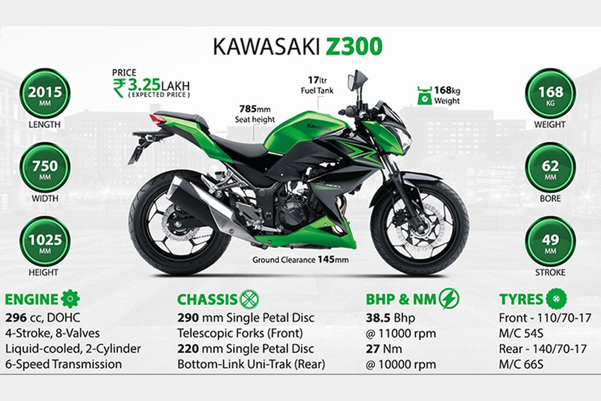 Kawasaki Z300 ABS sap ve Viet Nam, chot gia 149 trieu?-Hinh-13